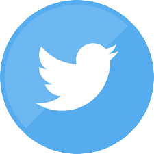 Twitter icon removebg preview